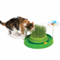 Preview: CATIT Play-n-Scratch mit Grasgarten - Grün
