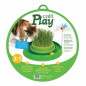 Preview: CATIT Play-n-Scratch mit Grasgarten - Grün