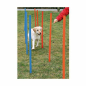 Preview: Hundeagility-Slalomstangen - 12er Set - Tasch inkl.