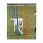 Preview: Hundeagility-Slalomstangen - 12er Set - Tasch inkl.