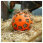 Preview: Hay Slow Feeder Fun & Flex Rosa