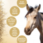 Preview: Hay Slow Feeder Fun & Flex Rosa