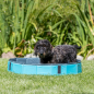 Preview: Trixie Hundepool - petrol/grau