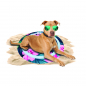 Preview: COOLPETS Premium Cooling Kühlmatte