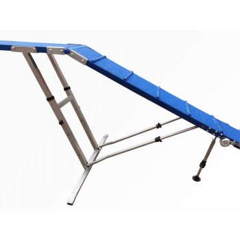 Hundesport-Agility-professionelle Hundebrücke