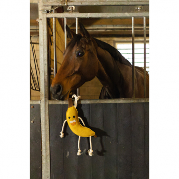 Excellent Horse Foodie Friends mit Jutefüllung