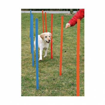 Hundeagility-Slalomstangen - 12er Set - Tasch inkl.
