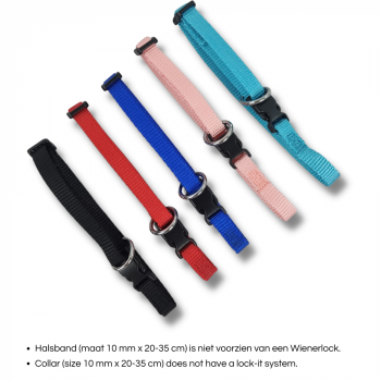 Hundehalsband Nylon mit Klickverschluß - versch. Farben und Größen