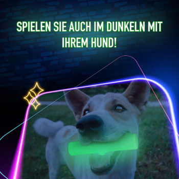 2 Glow Treat Bone of it's Own