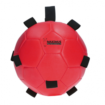 Excellent Horse Fun Play Ball