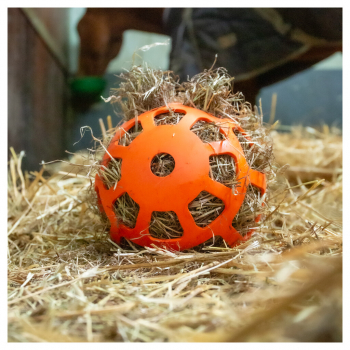 Hay Slow Feeder Fun & Flex Rosa