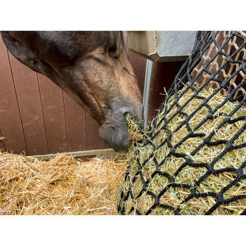 Hay Slow Feeder Net 2,5 kg (45 mm)