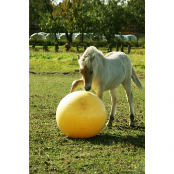 Preview: Maximus Power Play Ball VAR