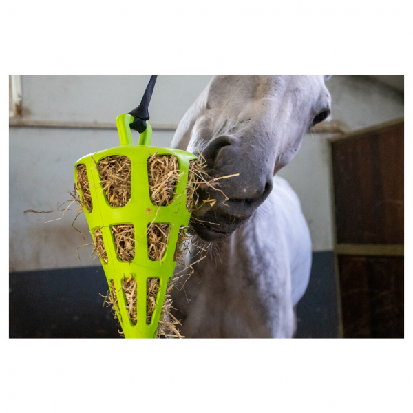 Hay Slow Feeder Fun & Flex Carrot VAR