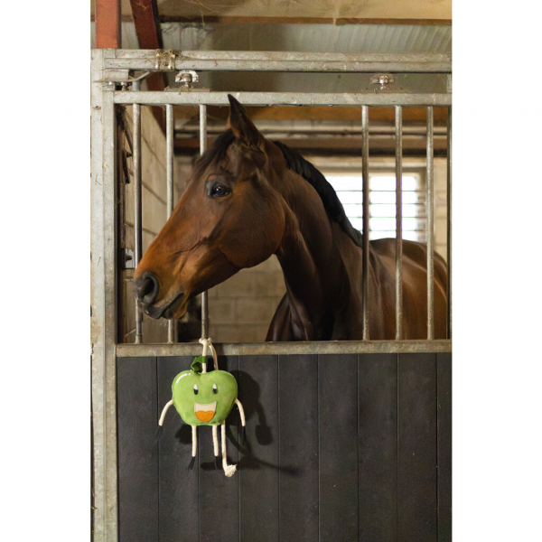 Excellent Horse Foodie Friends mit Jutefüllung