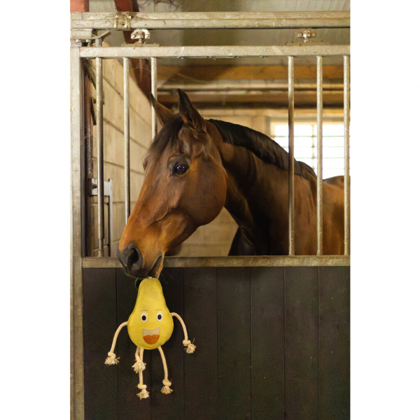 Excellent Horse Foodie Friends mit Jutefüllung