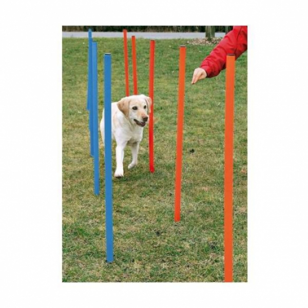 Hundeagility-Slalomstangen - 12er Set - Tasch inkl.