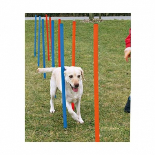 Hundeagility-Slalomstangen - 12er Set - Tasch inkl.