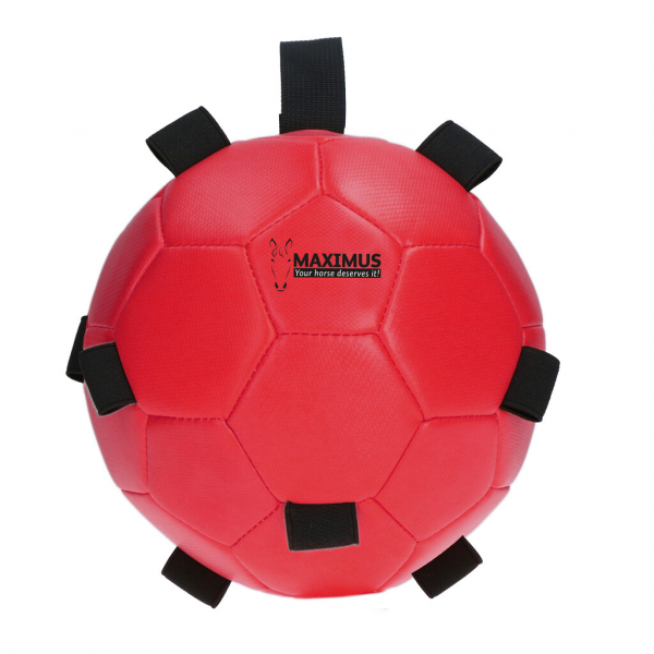 Excellent Horse Fun Play Ball
