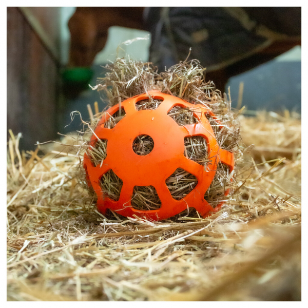 Hay Slow Feeder Fun & Flex Rosa