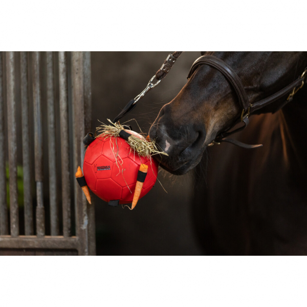 Excellent Horse Fun Play Ball