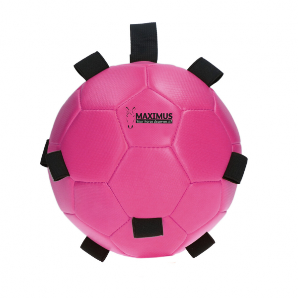 Excellent Horse Fun Play Ball