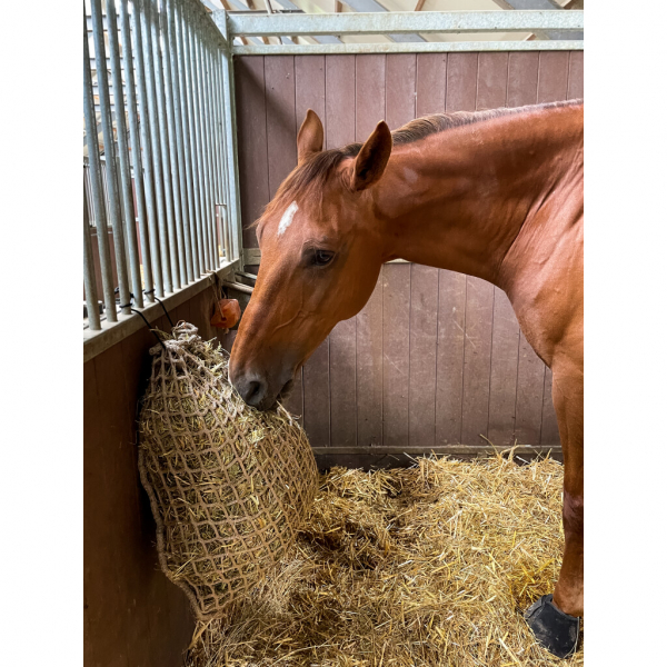 Hay Slow Feeder Net 2,5 kg (45 mm)